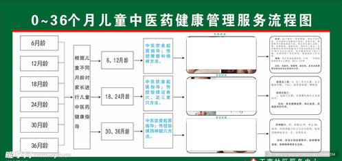 兒童中醫(yī)藥健康管理服務(wù)流程圖 信息系統(tǒng)集成與商業(yè)插畫(huà)設(shè)計(jì)